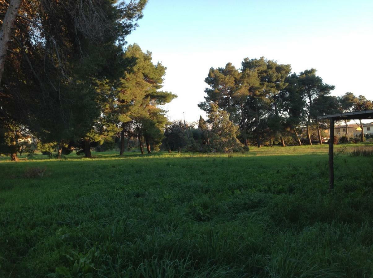 Villa Di Campagna Santa Giulia 카르보니페라 외부 사진