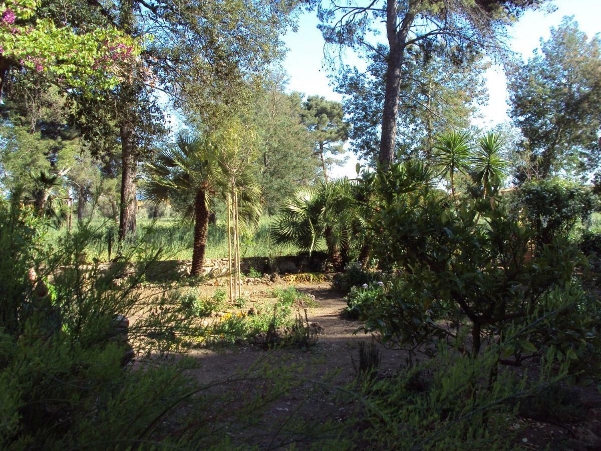 Villa Di Campagna Santa Giulia 카르보니페라 외부 사진